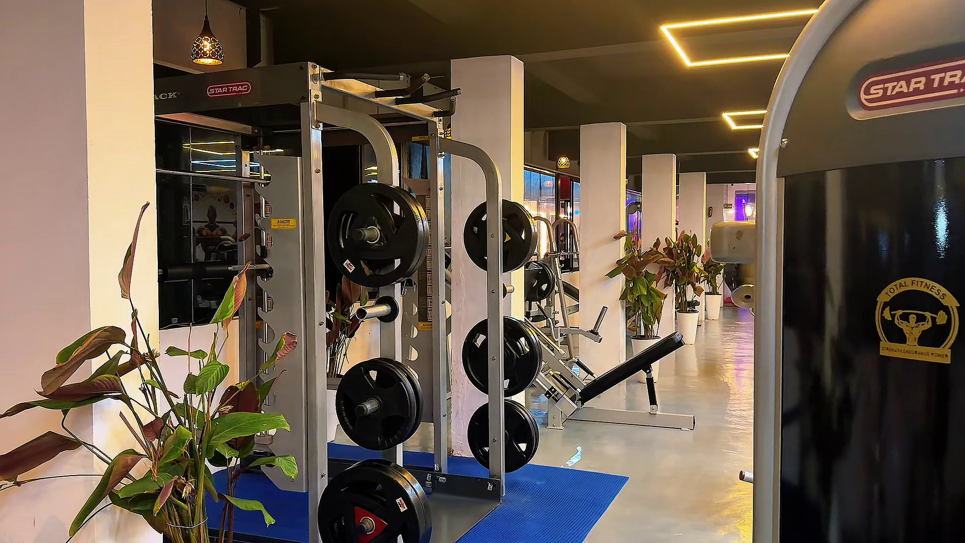Strength & Powerlifting Setup